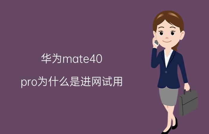 华为mate40 pro为什么是进网试用 mate40正品鉴别？